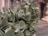 Eucalyptus Garland PS 6'